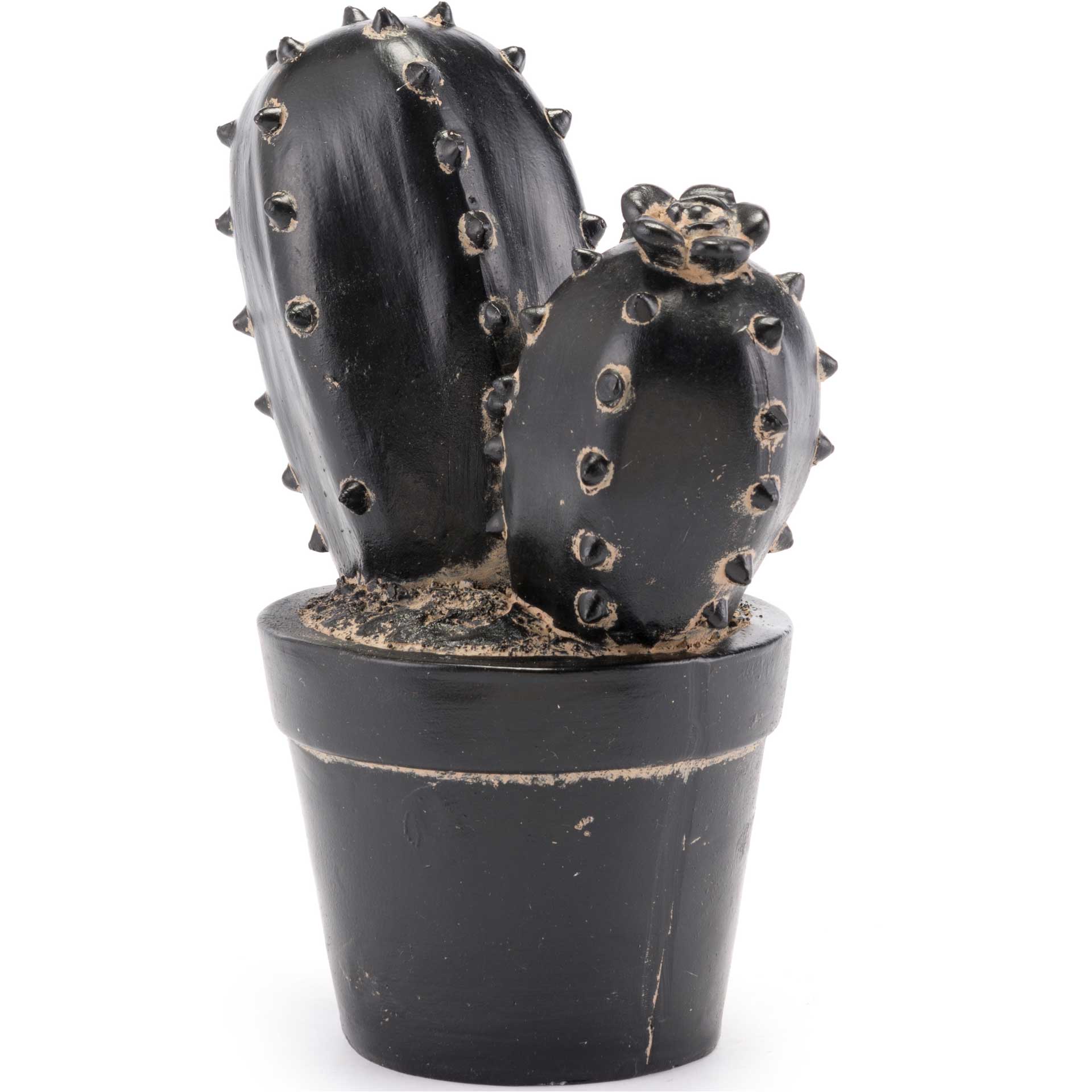 Peyote Cactus Black - Image 2