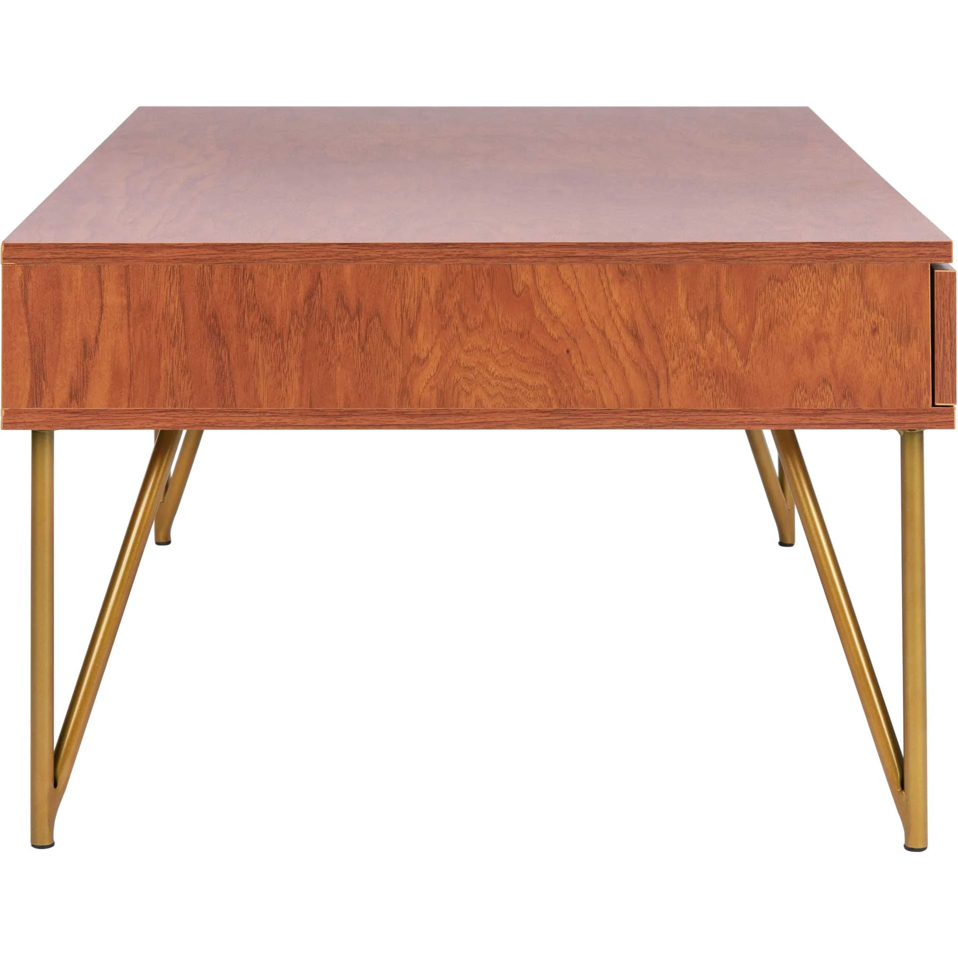 Pierce Two Drawer Coffee Table Natural/Gold - Image 3