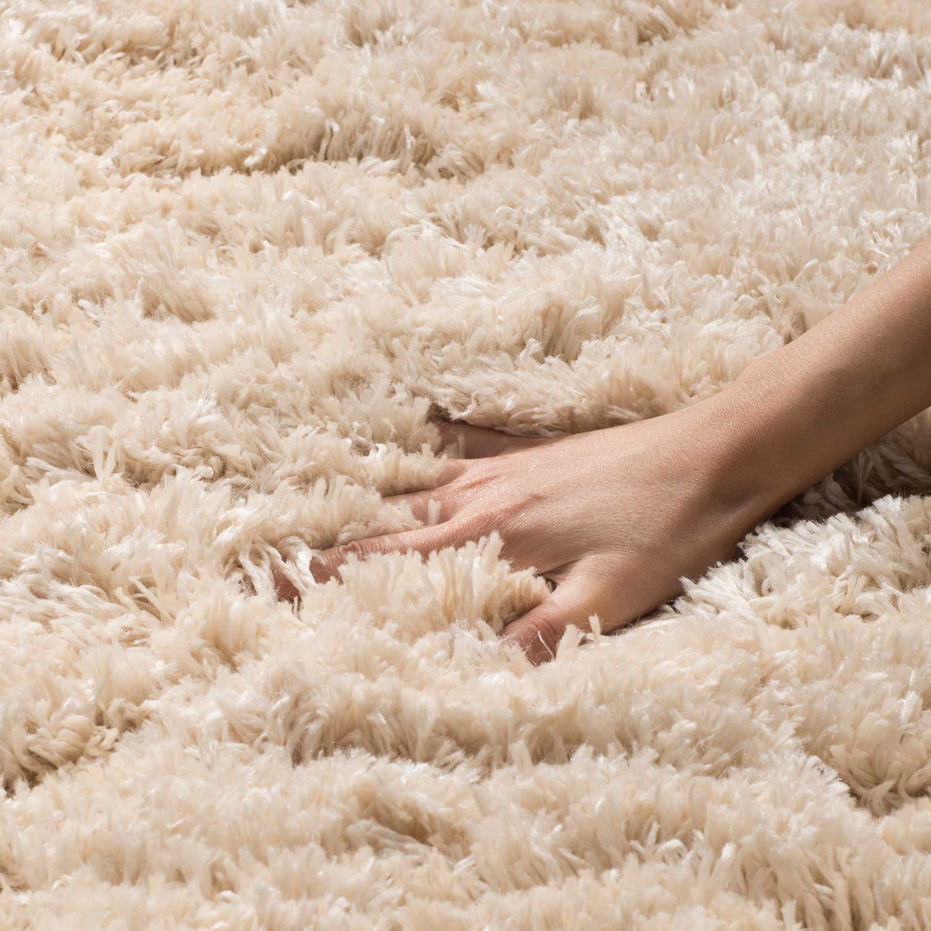 Polar Shag Light Beige Area Rug - Image 4
