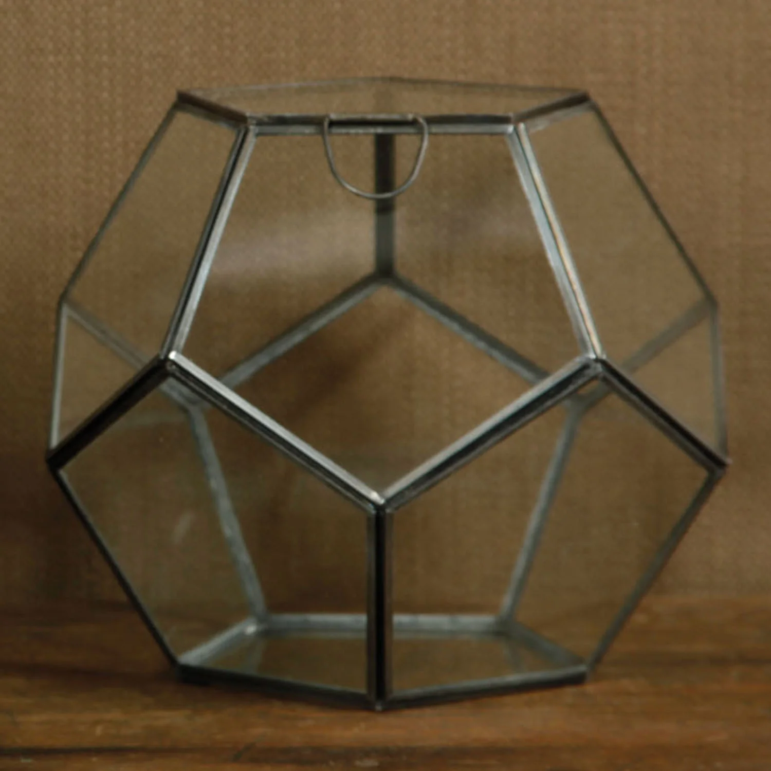 Pollux Faceted Terrarium - Image 4