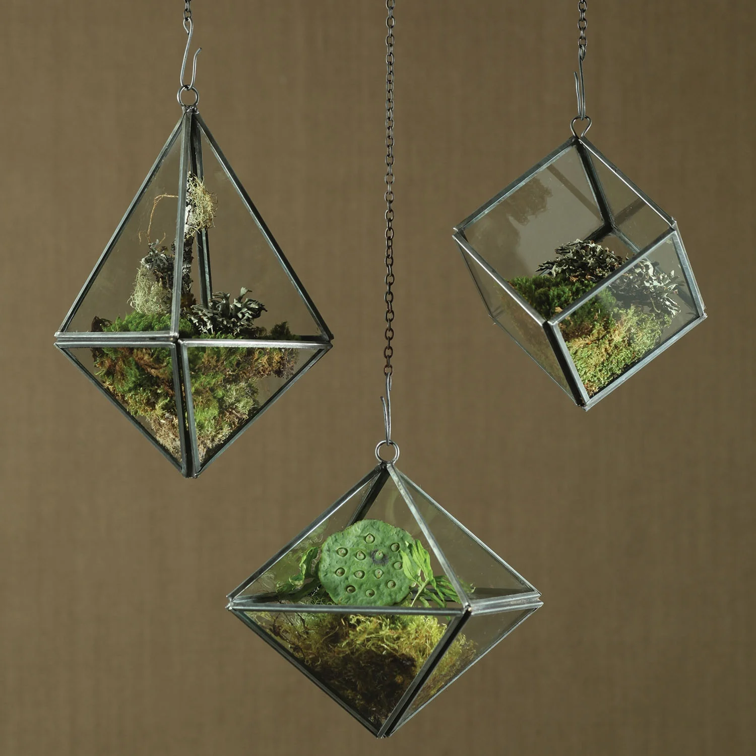 Pollux Geometric Terrarium Tetrahedron - Image 2