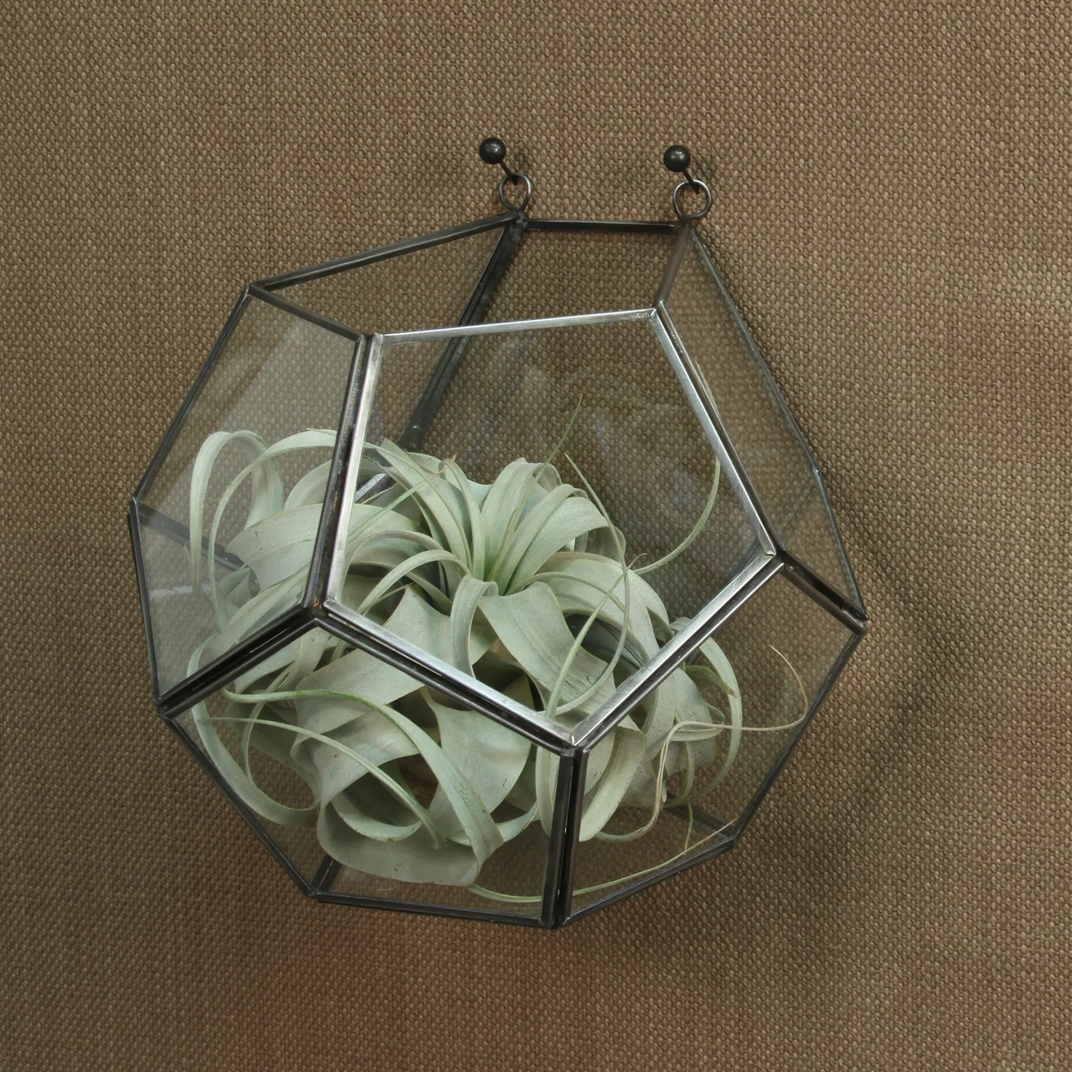 Pollux Leaded Glass Wall Terrarium Dodecahedron - Image 4