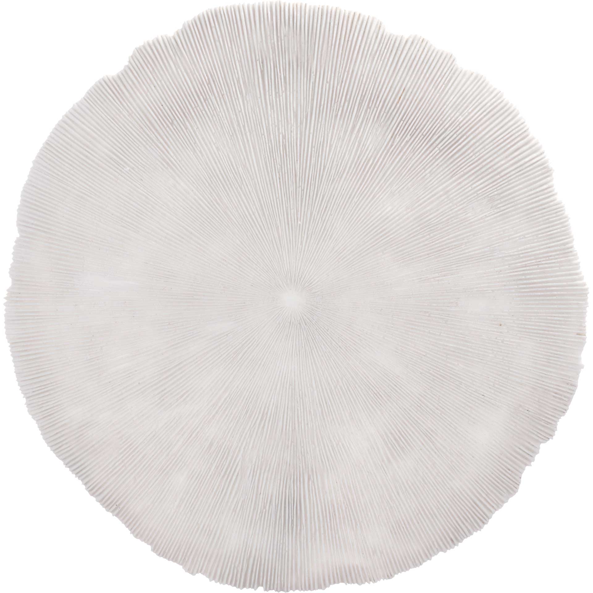 Round Coral Plaque White - Image 2