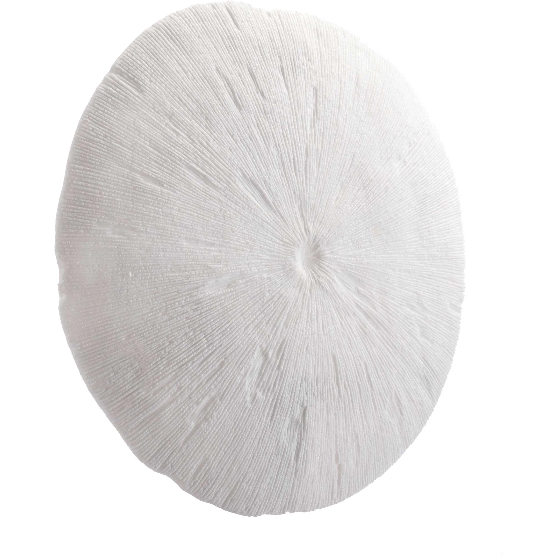Round Coral Plaque White - Image 3
