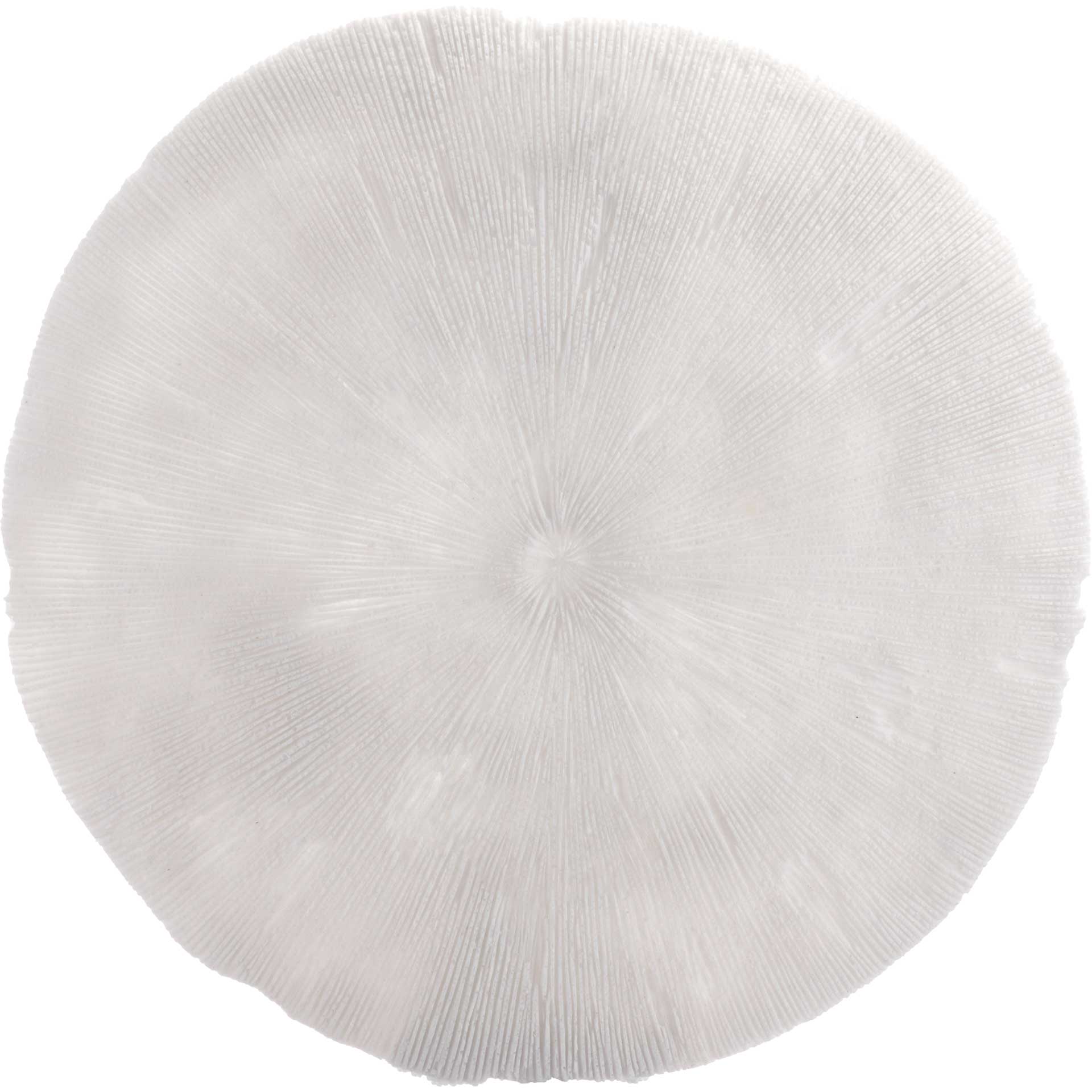 Round Coral Plaque White - Image 4