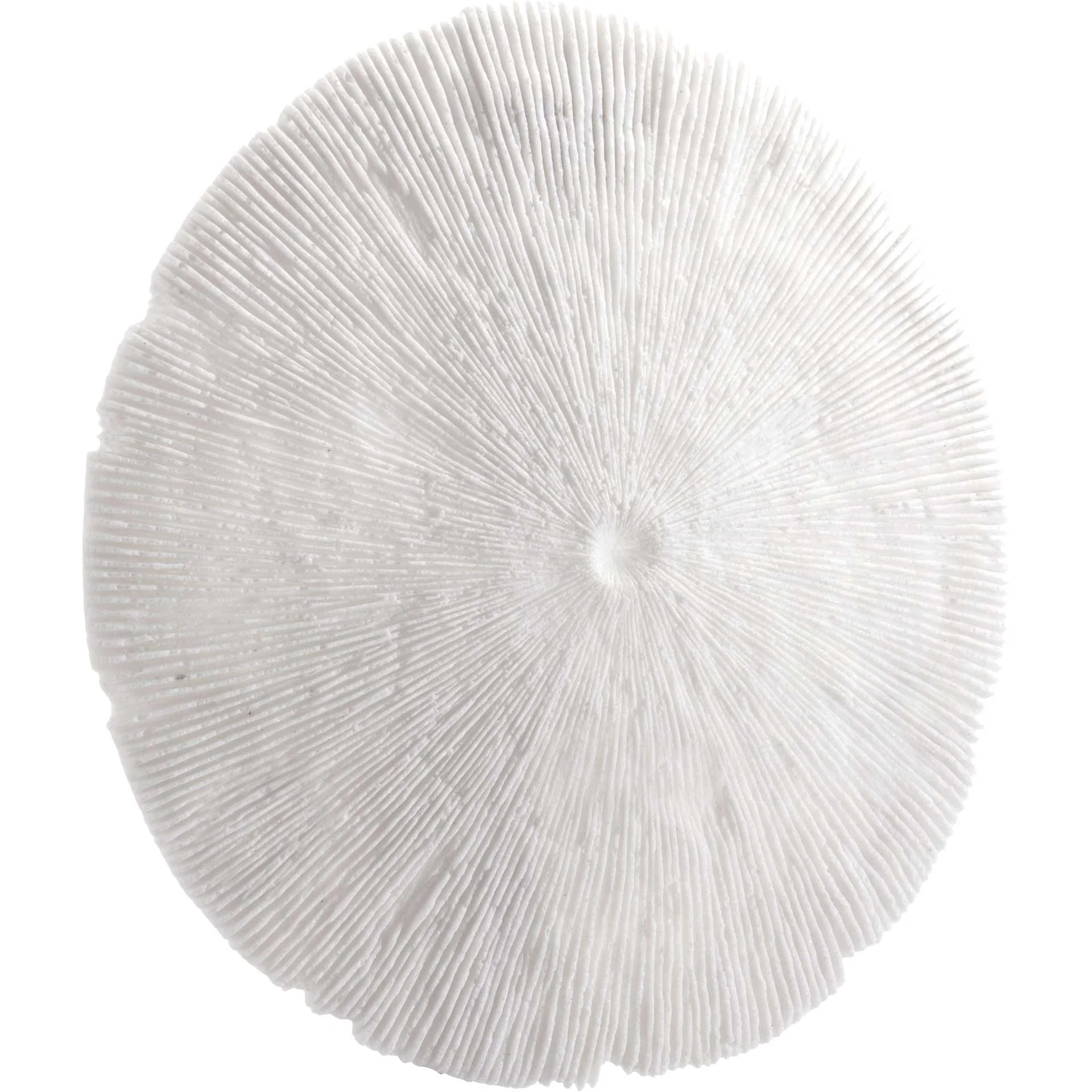 Round Coral Plaque White - Image 5