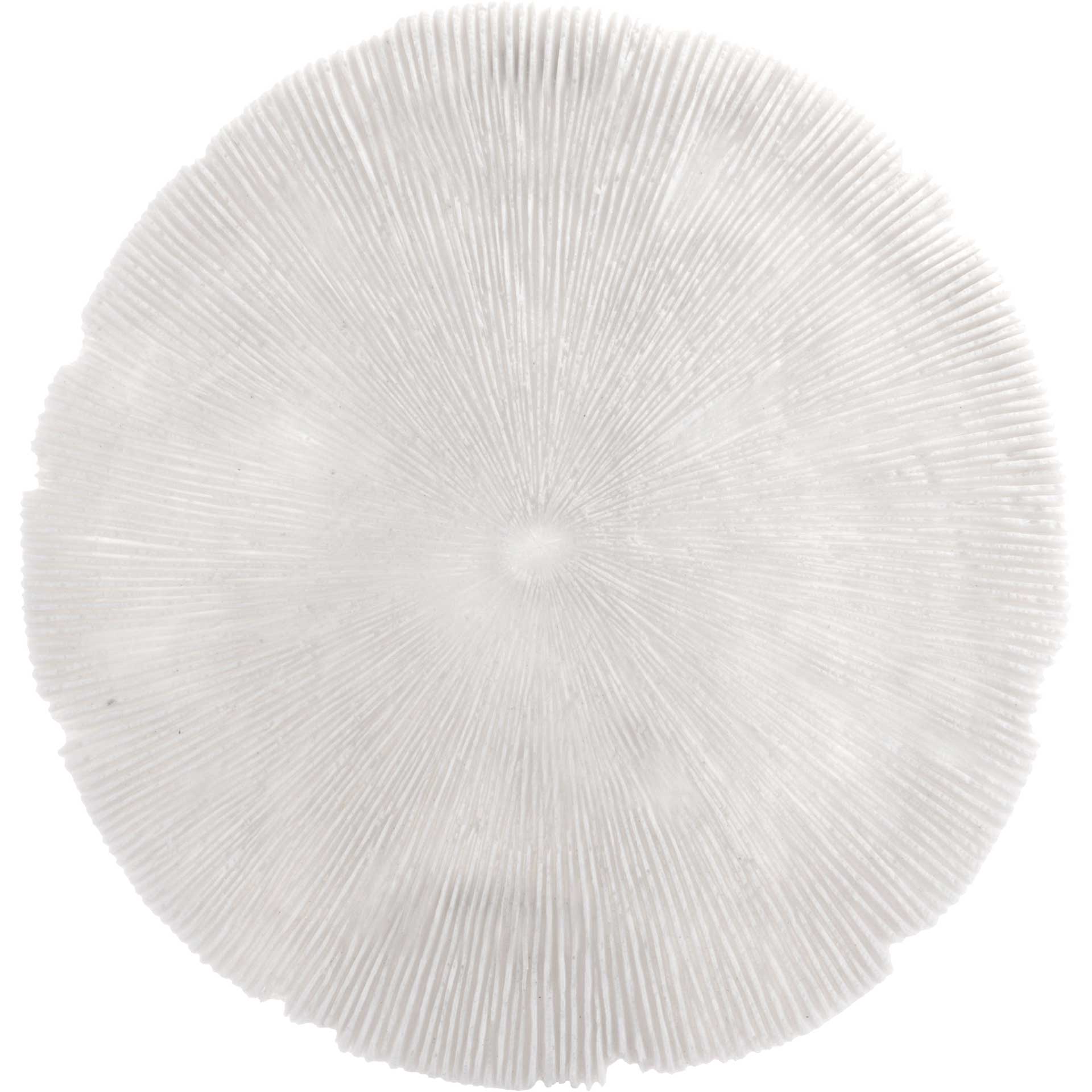 Round Coral Plaque White - Image 6