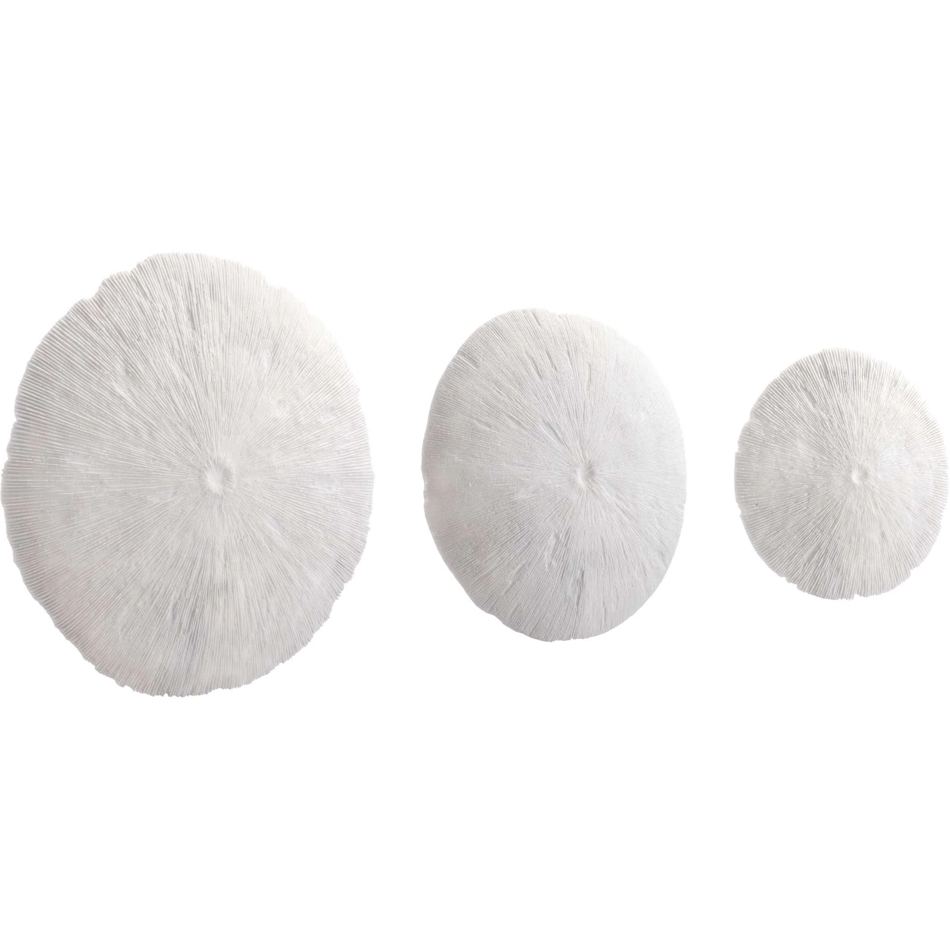 Round Coral Plaque White - Image 7