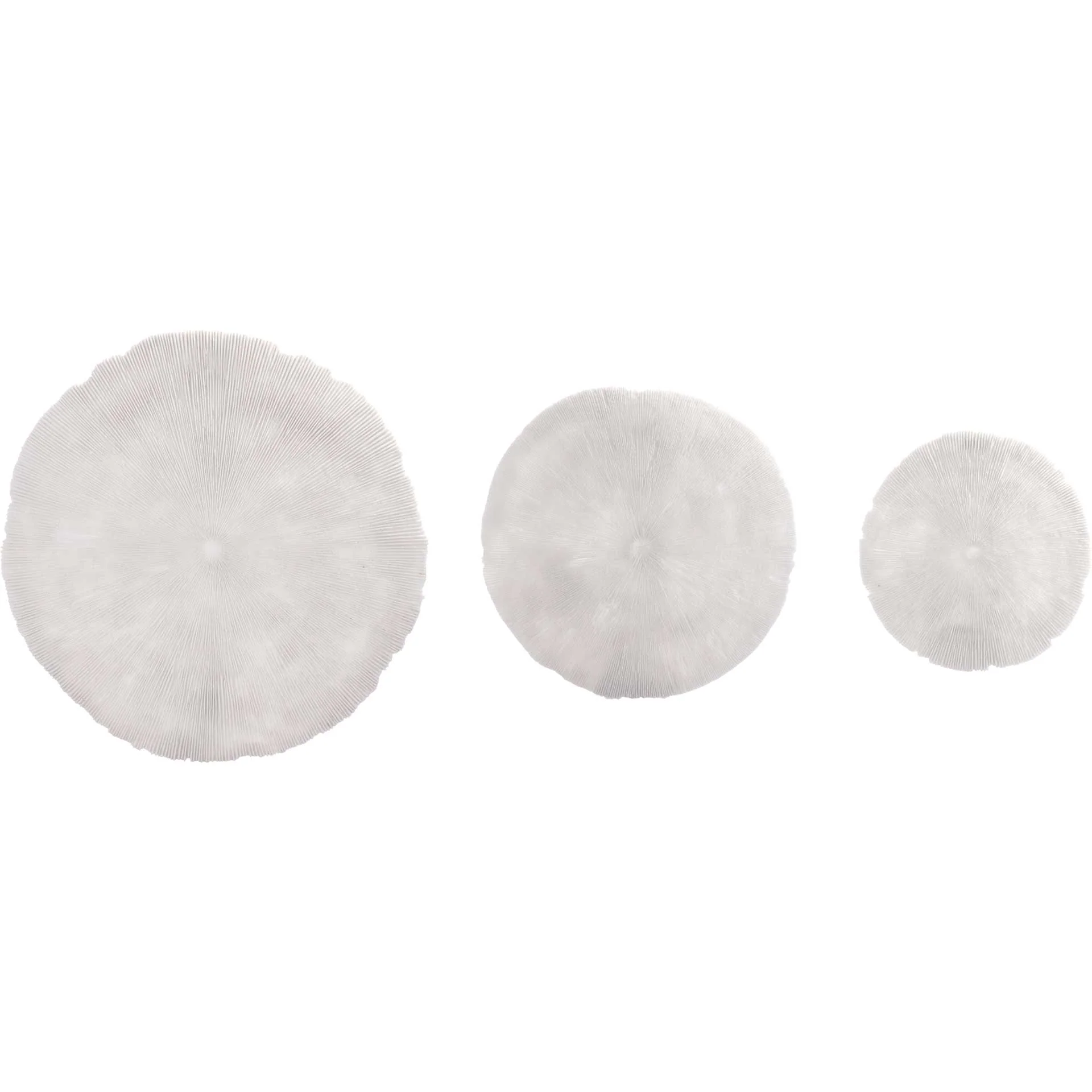 Round Coral Plaque White - Image 8