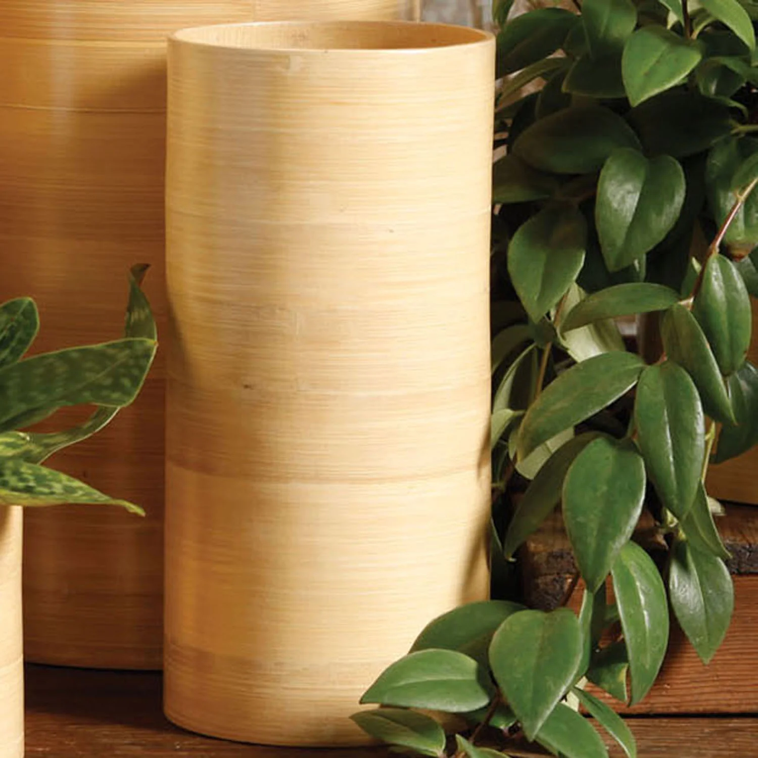 Sui Bamboo Vase - Image 2