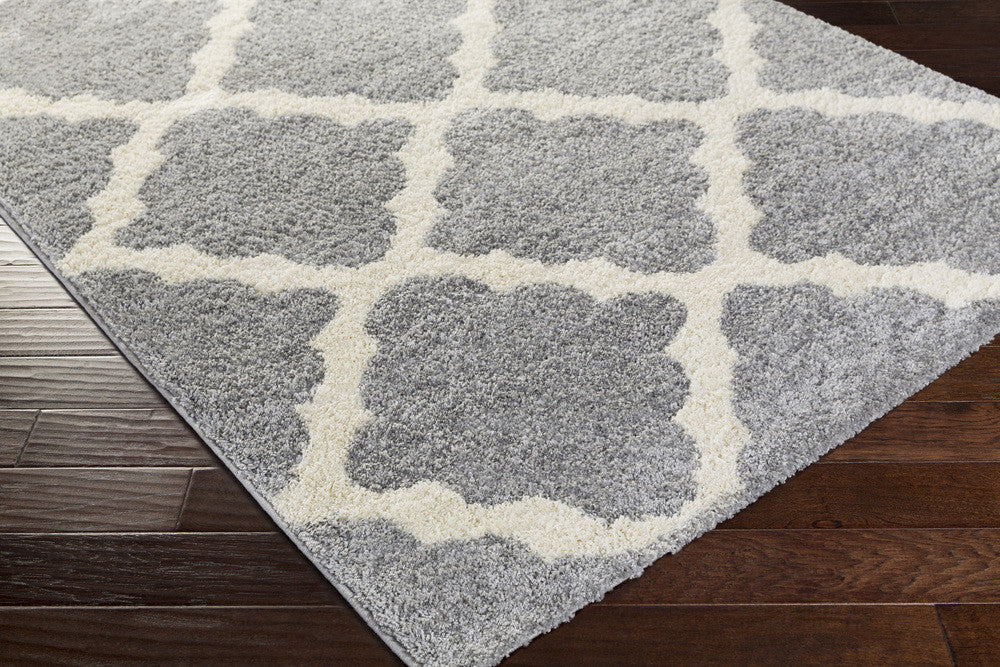Swift Light Gray/Ivory Area Rug - Image 2