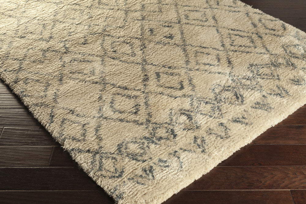 Tasman Beige/Gray Area Rug - Image 2
