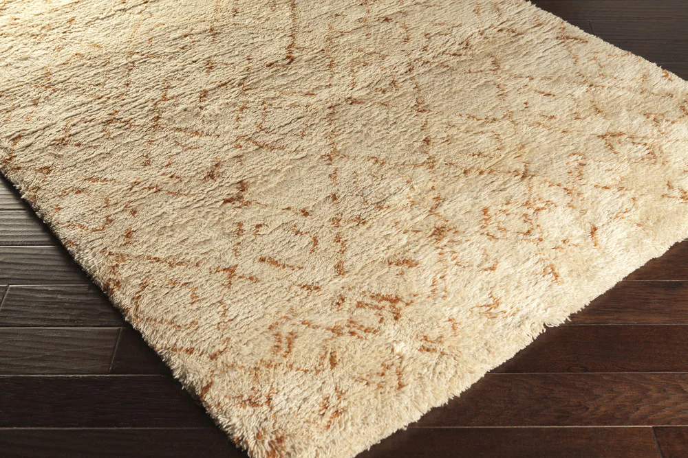 Tasman Rust/Beige Area Rug - Image 2