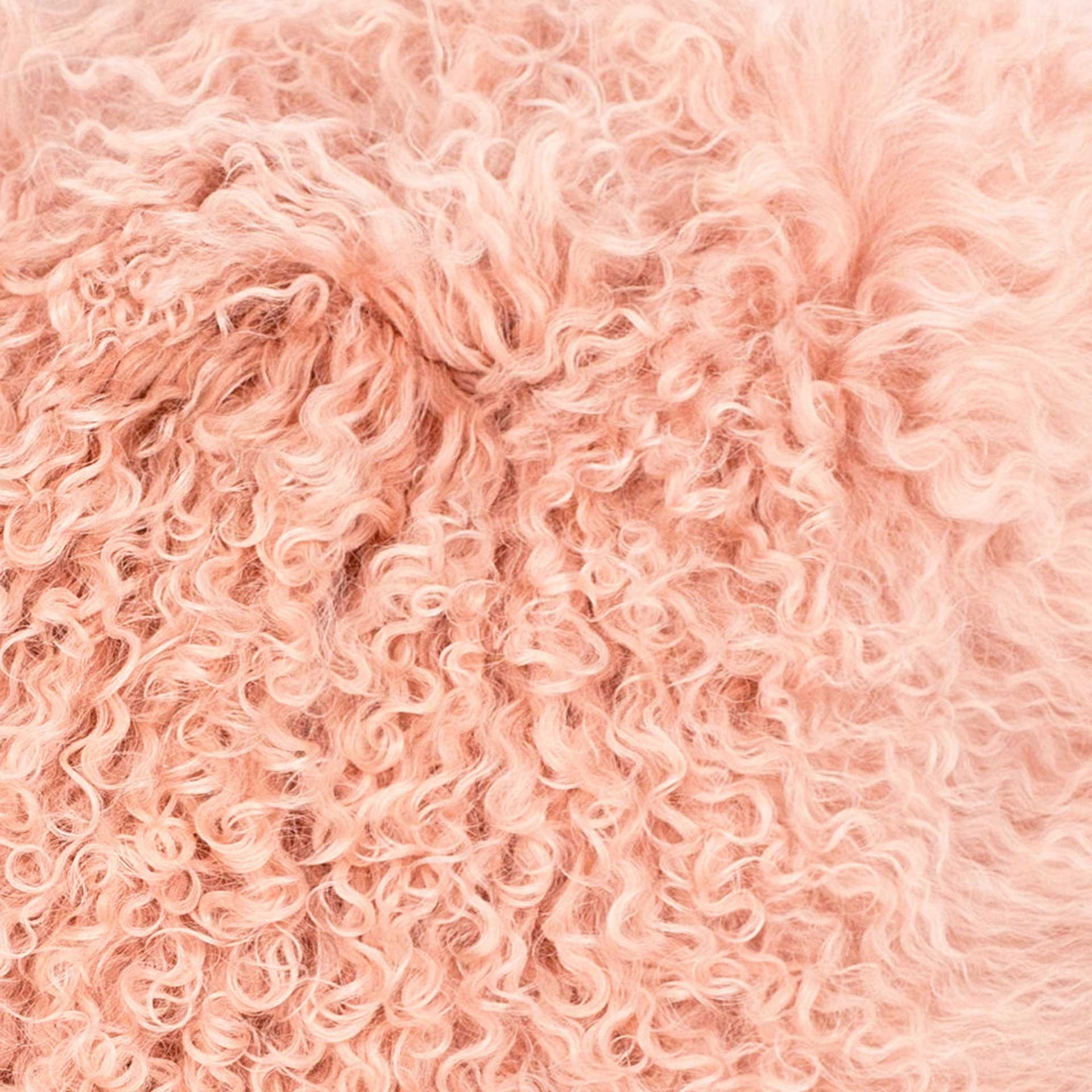 Tibetan Sheep Pillow Blush - Image 2