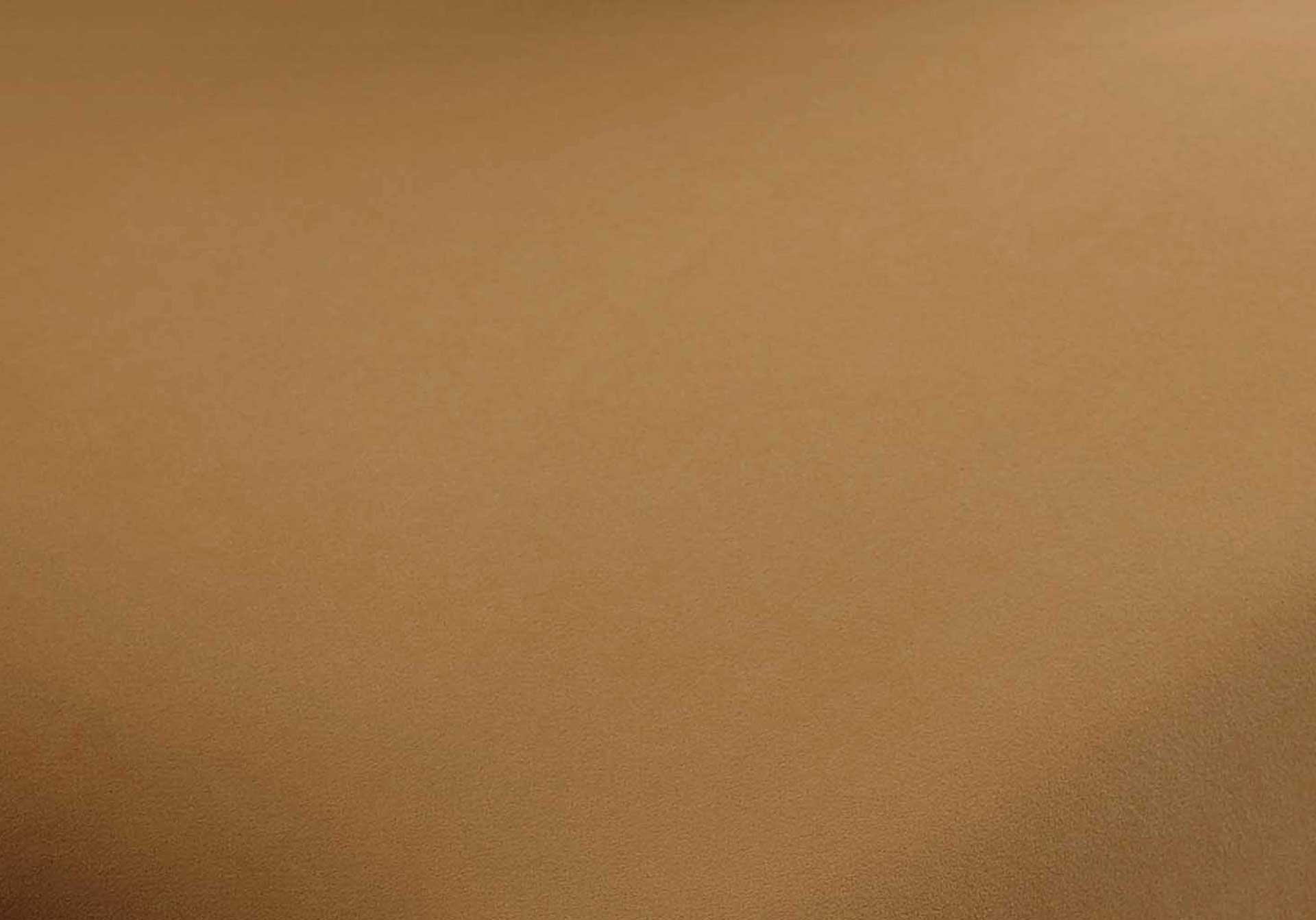 Tucker Velvet Chair Cognac - Image 5