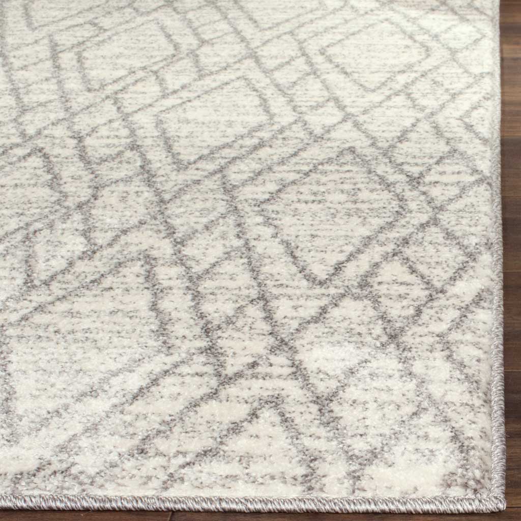 Tunisia Ivory/Light Gray Area Rug - Image 4