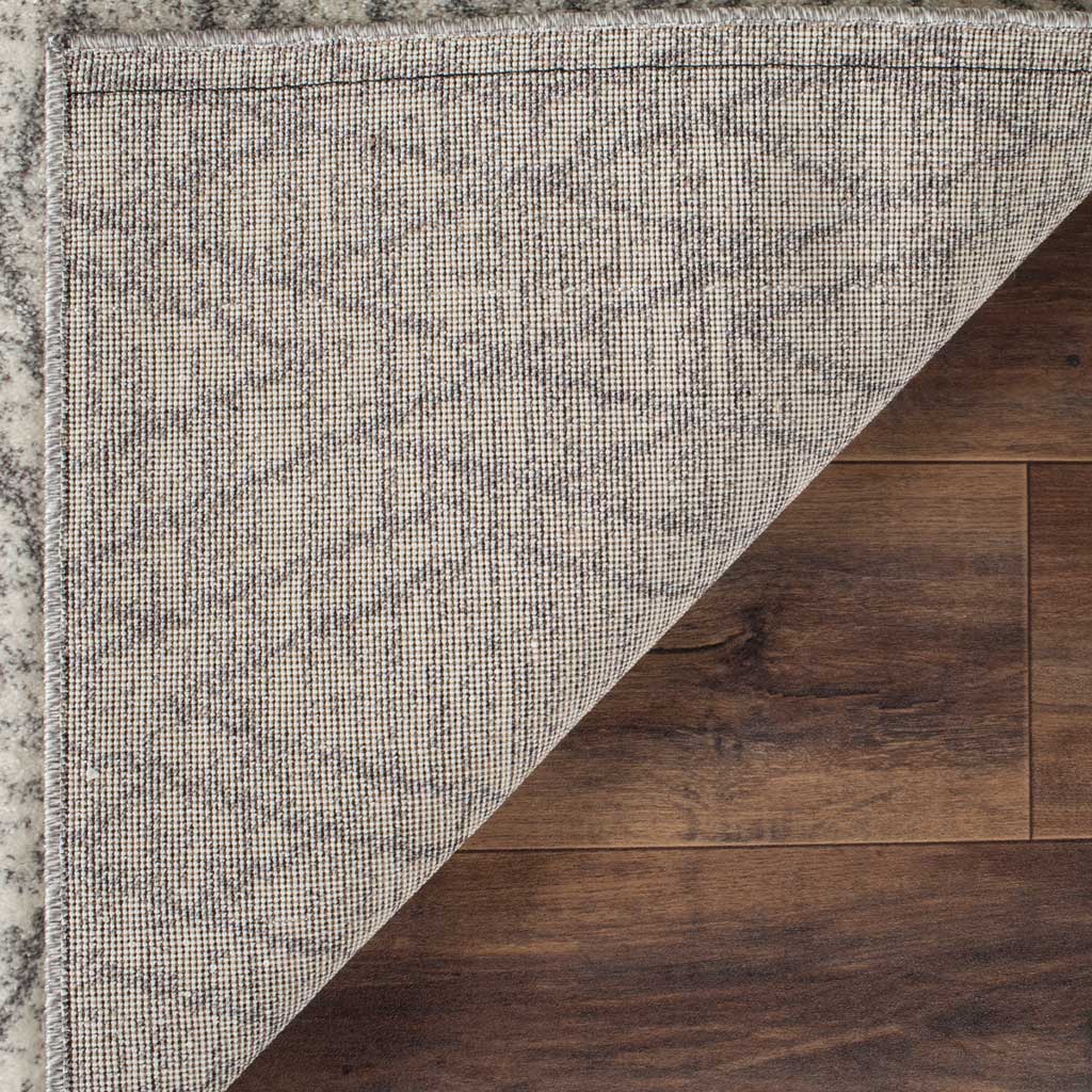 Tunisia Ivory/Light Gray Area Rug - Image 5
