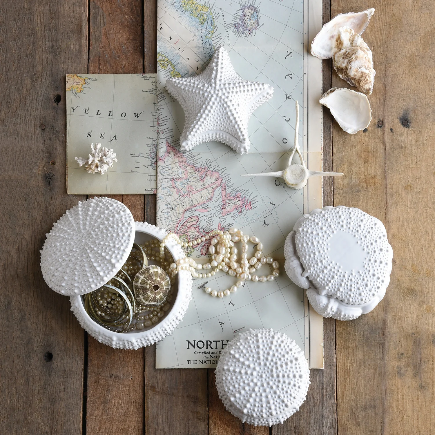 Urchin Ceramic Box - Image 4