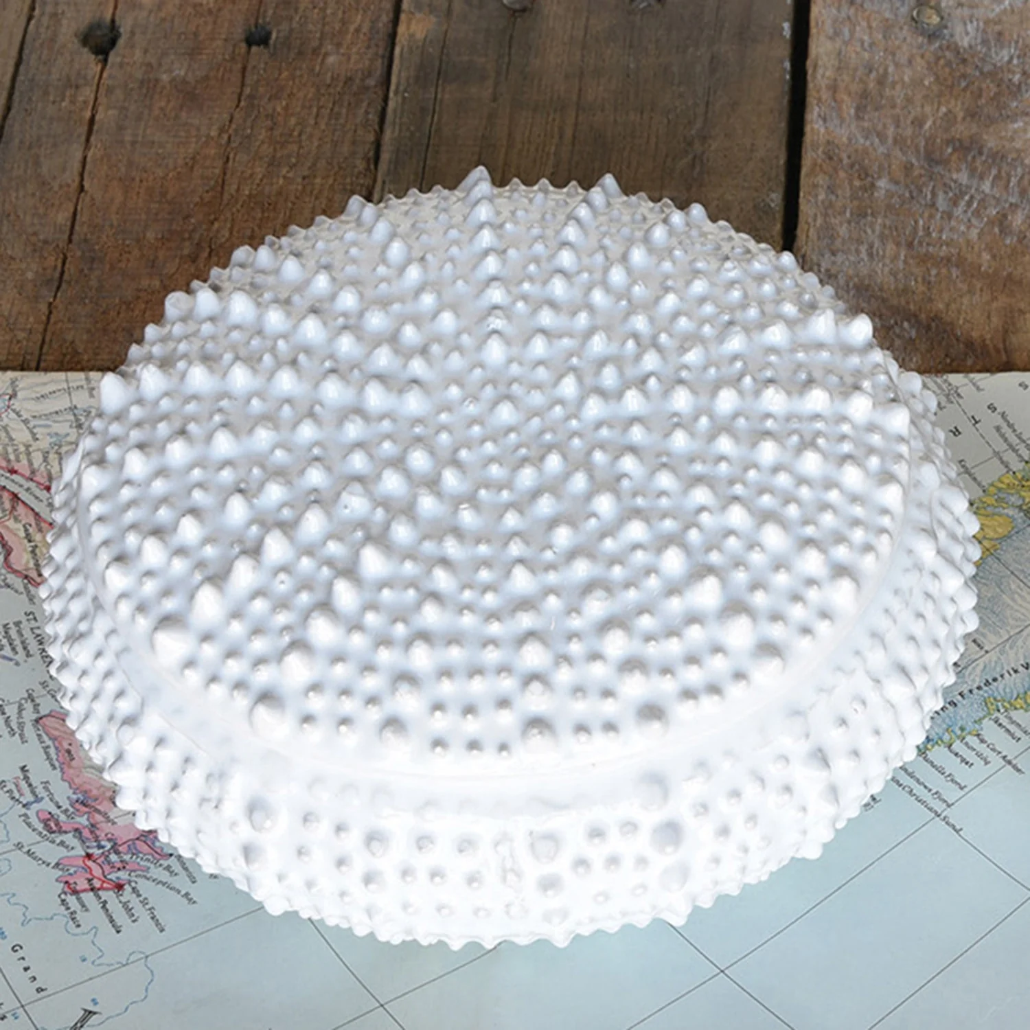 Urchin Ceramic Box - Image 5