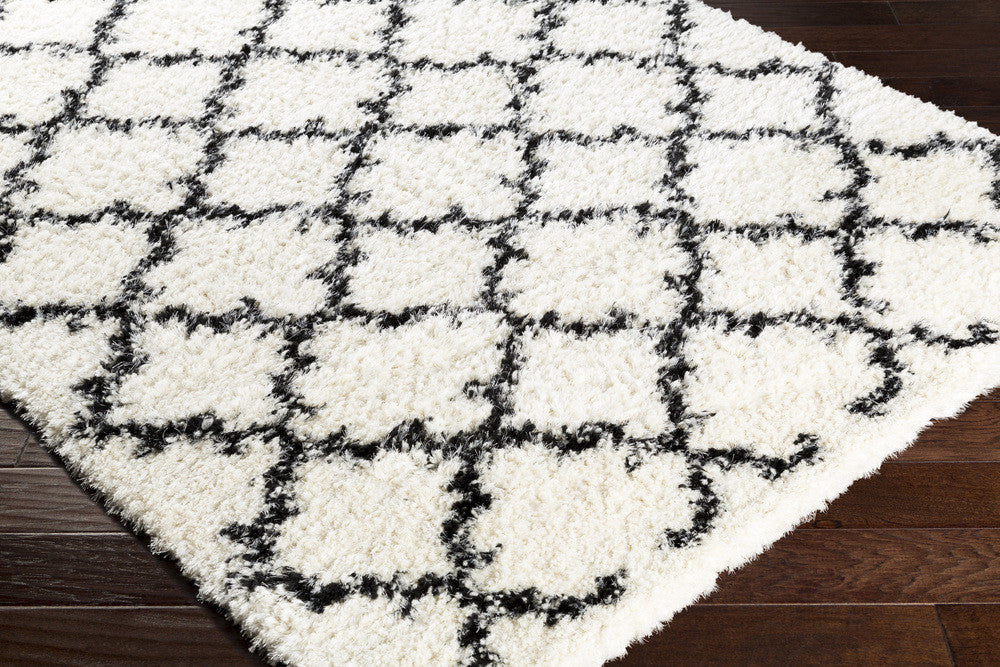 Winfield White/Black Area Rug - Image 2