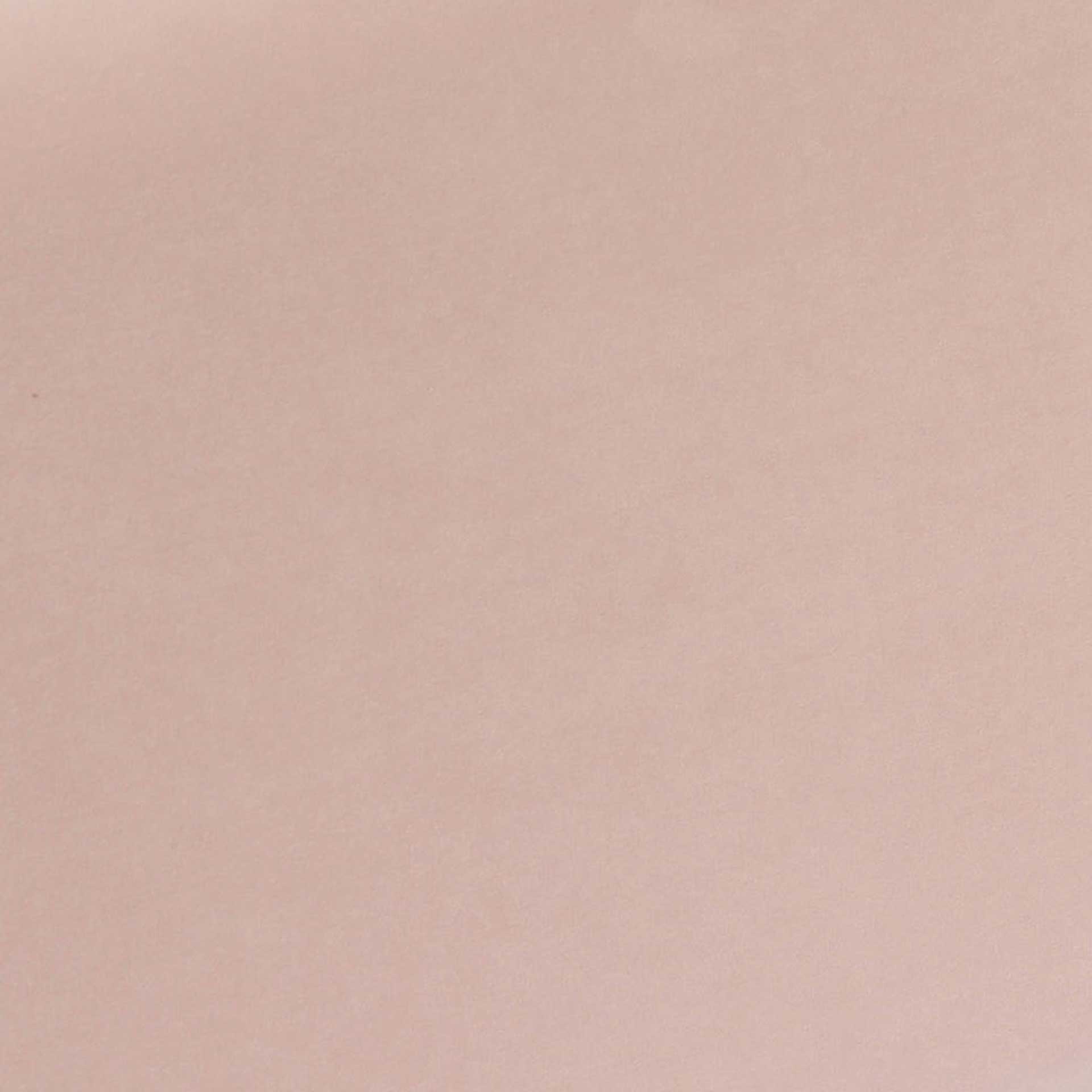 Zion Velvet Storage Bench Blush - Image 5